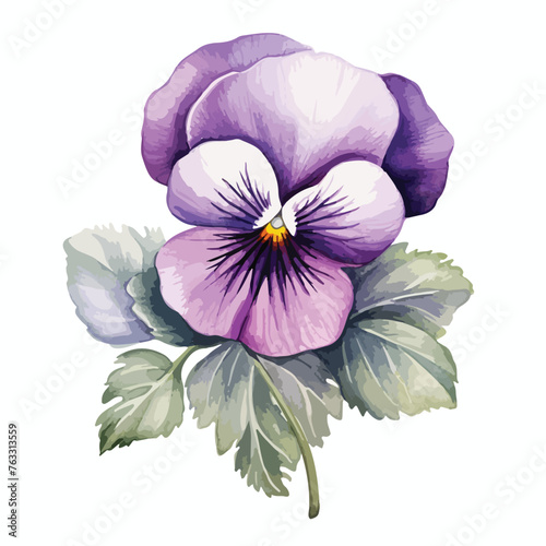 Purple Pansy Clipart isolated on white background