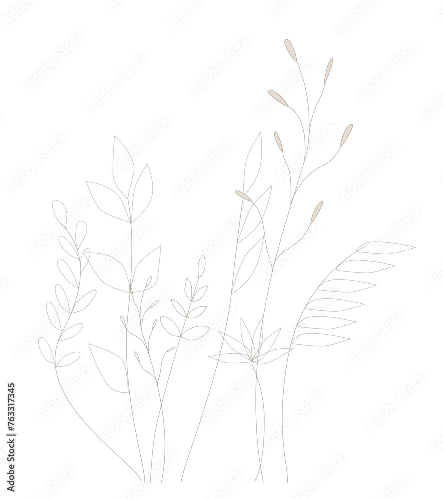 Vector set of graceful twigs with leaves, line drawn plants. Vector set of graceful twigs with leaves, line drawn plants.