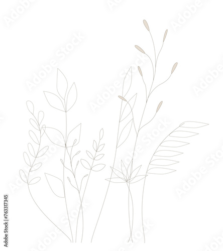 Vector set of graceful twigs with leaves  line drawn plants. 