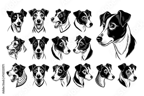 Illustration of jack russell terrier dog head sticker design set