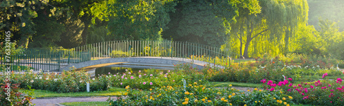 Rosenbeete, Doblhoffpark, Baden bei Wien, Niederösterreich, Österreich photo