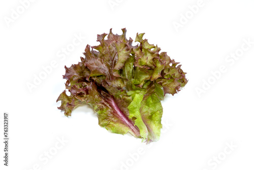 red coral lettuce on white background
