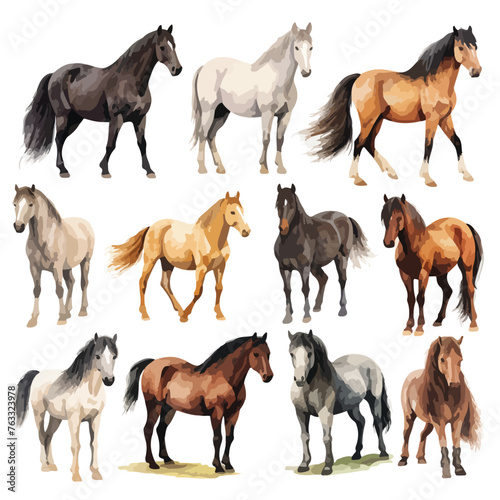 Various Horses Clipart isolated on white background © Ideas