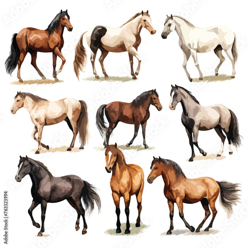 Various Horses Clipart isolated on white background