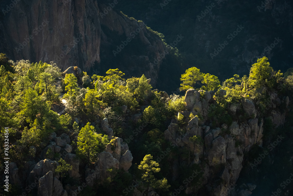 detailed close up of rock formation inside Copper Canyon Mexican Mountains Skyline Mexico Chihuahua Sierra Madre Occidental, detailed close up of rock formation inside Copper Canyon Mexican Mountains Skyline Mexico Chihuahua Sierra Madre Occidental,