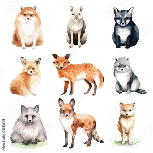 Watercolor Animals Clipart 