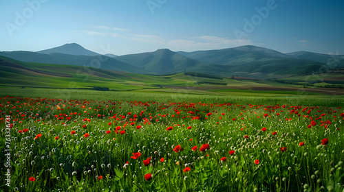 A panoramic view of a lush green countryside dotted with colorful wildflowers, heralding the arrival of spring