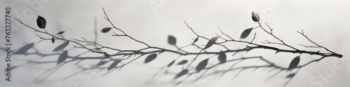 A thin branch of a plant on an abstract gray background. Natural shadows and sunlight on the concrete wall. Minimalism.