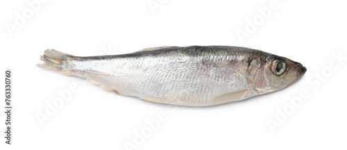 One fresh raw sprat isolated on white, top view