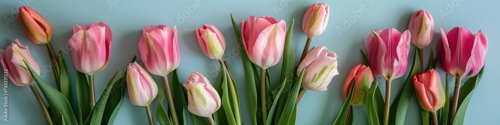 Bouquet of pink tulips on pastel blue background, banner. Greeting card for Mother's Day, Woman's Day, Easter, Valentine's Day, Wedding, and Birthday celebration. Bouquet of pink tulips on pastel blue background, banner. Greeting card for Mother's Day, Woman's Day, Easter, Valentine's Day, Wedding, and Birthday celebration.