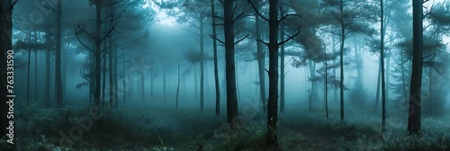 dark forest panorama fantasy landscape.