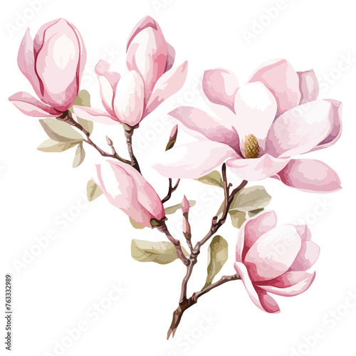 Watercolor Magnolias Clipart  © Ideas