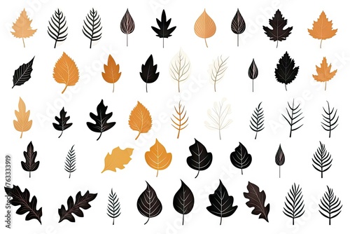 Autumn Leaves Silhouettes, Foliage Silhouette Isolated, Fall Tree Leaf Shapes With Maple, Oak, Birch and Other