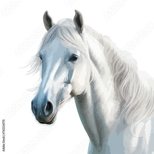 White Horse Clipart isolated on white background