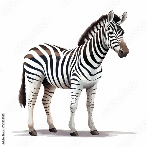 Zebra Clipart isolated on white background