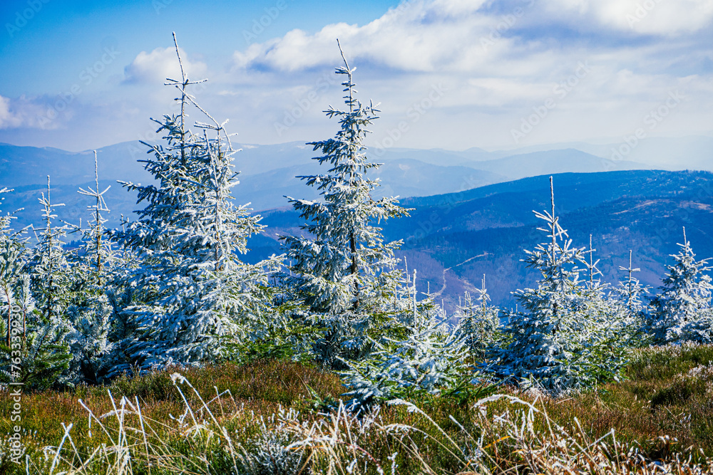 Zima w górach. Beskid Śląski na Śląsku w Polsce, rejon najwyższego szczytu w Beskidzie Śląskim, Skrzycznego