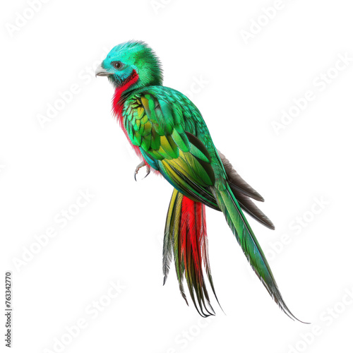 Quetzal bird on isolated transparent background