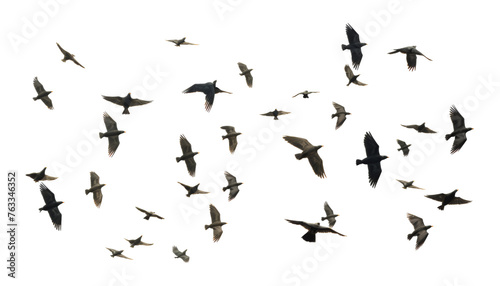 silhouettes of flying birds isolated on transparent background cutout
