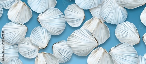 Many white shells on blue surface
