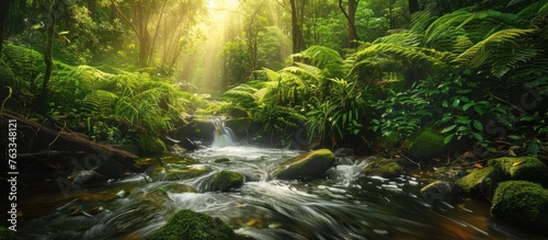 A serene stream winds through a lush forest  its gentle flow accompanied by the rustle of vibrant green foliage and the trickle of water over rocks and branches