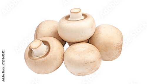mushrooms isolated on transparent background cutout