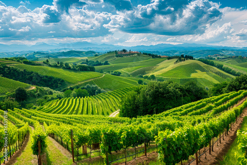landscape with vineyards on hill background © chandlervid85