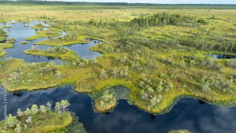 Swamp landscape, drone view. Yelnya Wild mire. Swamp background. East European swamps and Peat Bogs, top view. Marshland with islands and pine trees. Swampy land, wetland, marsh. Bog background. Swamp landscape, drone view. Yelnya Wild mire. Swamp background. East European swamps and Peat Bogs, top view. Marshland with islands and pine trees. Swampy land, wetland, marsh. Bog background.