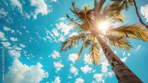 Palm trees and sky concept, nature background