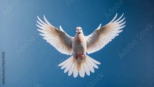Dove as a symbol of peace, love and hope concept