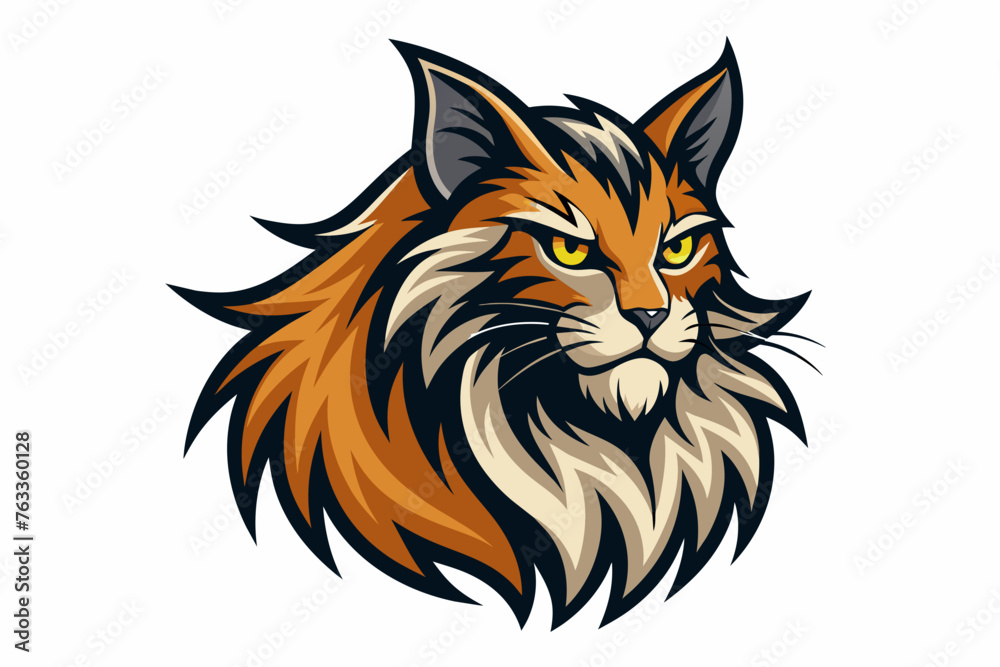 A Maine Coon cat is a very large breed with a beautiful long coat of fur. Tufts of hair on the points of the ear, a strong lion like muzzle