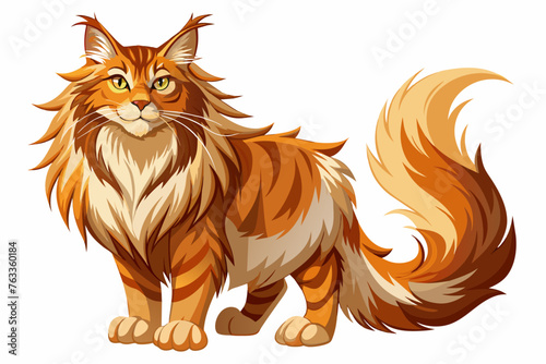 A Maine Coon cat is a very large breed with a beautiful long coat of fur. Tufts of hair on the points of the ear  a strong lion like muzzle