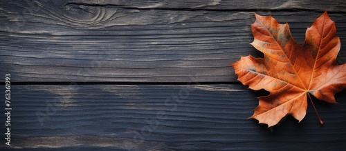 A single leaf on a wooden s...