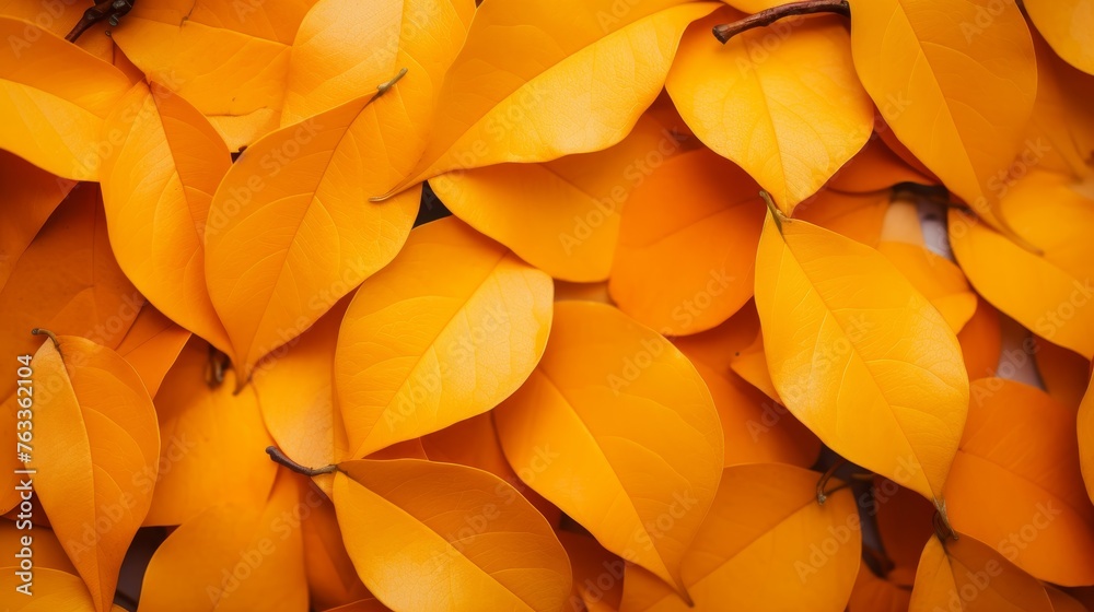 Background group autumn orange leaves  - obrazy, fototapety, plakaty 