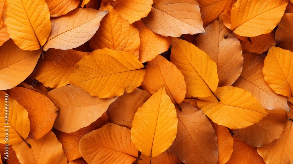 Fototapeta premium Background group autumn orange leaves 