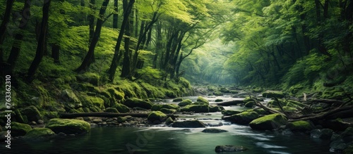 A serene river flowing through a lush green forest with numerous trees and rocks