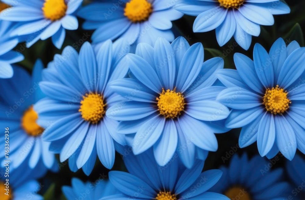 Blue flowers background. View from above. Blue flowers background. View from above.