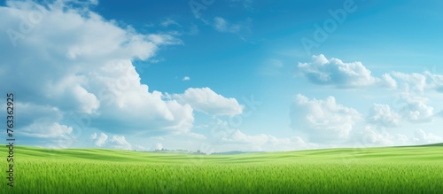 Grassy Meadow Under Blue Sky with Clouds