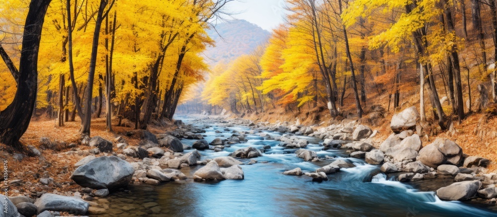 River flowing through rocky forest River flowing through rocky forest