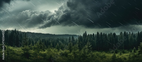 A stormy sky over an Eastern European forest photo