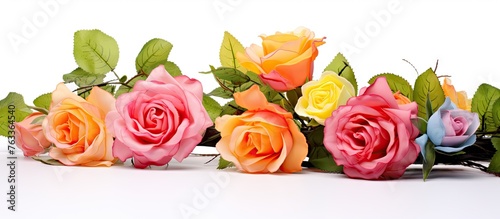 Many roses arranged in row ...