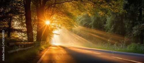 Sun rays shining through tr...