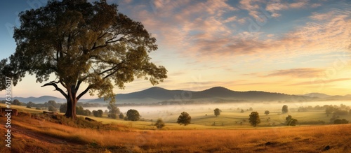 A misty landscape with a tree in a meadow framed by mountains