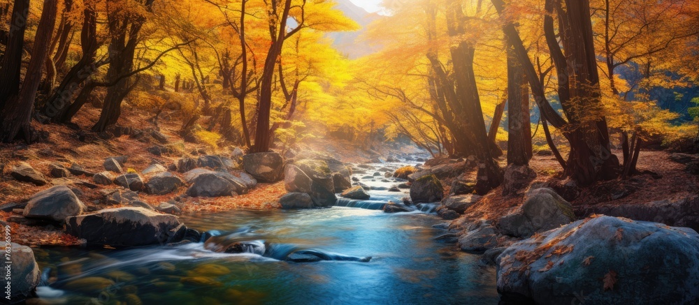 River flowing among rocks and trees in a forest River flowing among rocks and trees in a forest