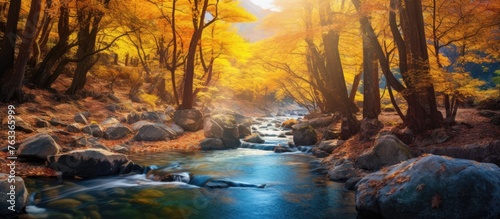 River flowing among rocks and trees in a forest