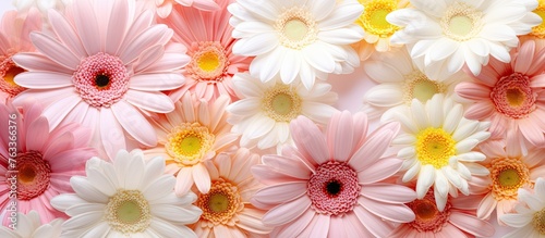 Close-up of pink and white floral arrangement