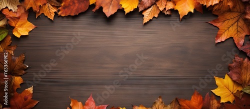 Autumn leaves border on woo...
