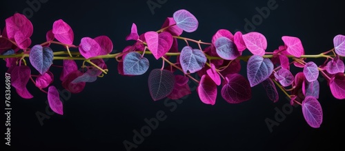 Close-up of pink blossoms a...