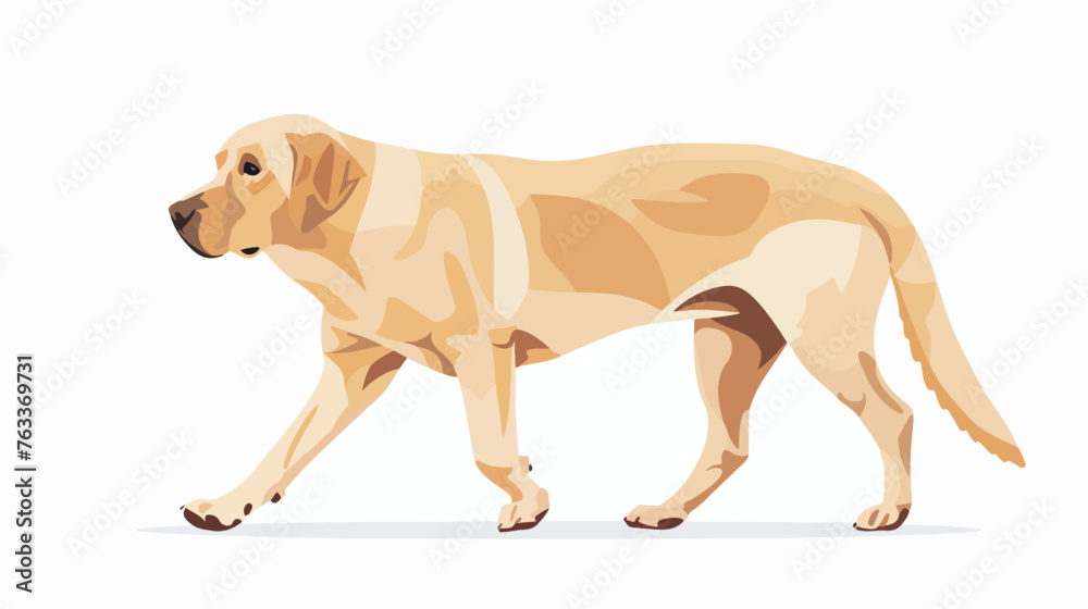 Labrador retriever dog walking in park .. flat vector