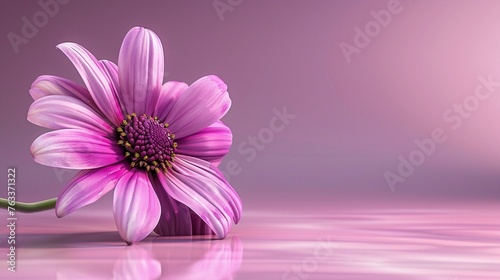 A beautiful flower on background  a colorful decoration. Bright and blooming  it s an amazing natural sight.