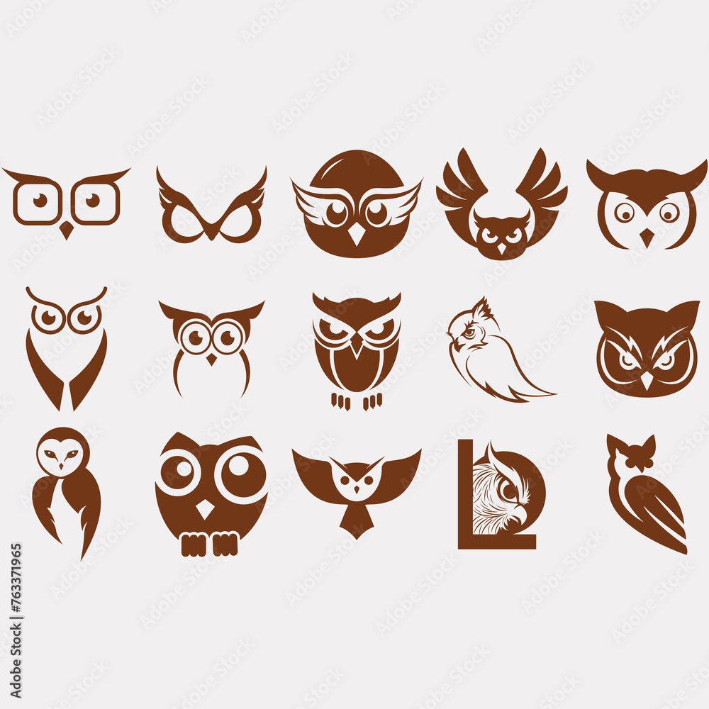 collection of owl